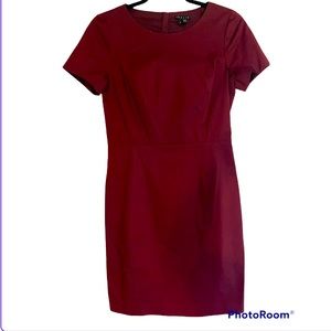 New Theory Admiral Dress